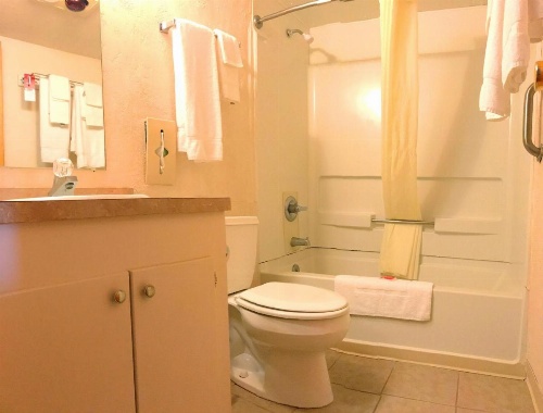 Econo Lodge 1000 Islands image 12